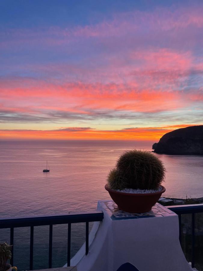 Hotel Villa Maria Sant'Angelo  Exteriör bild
