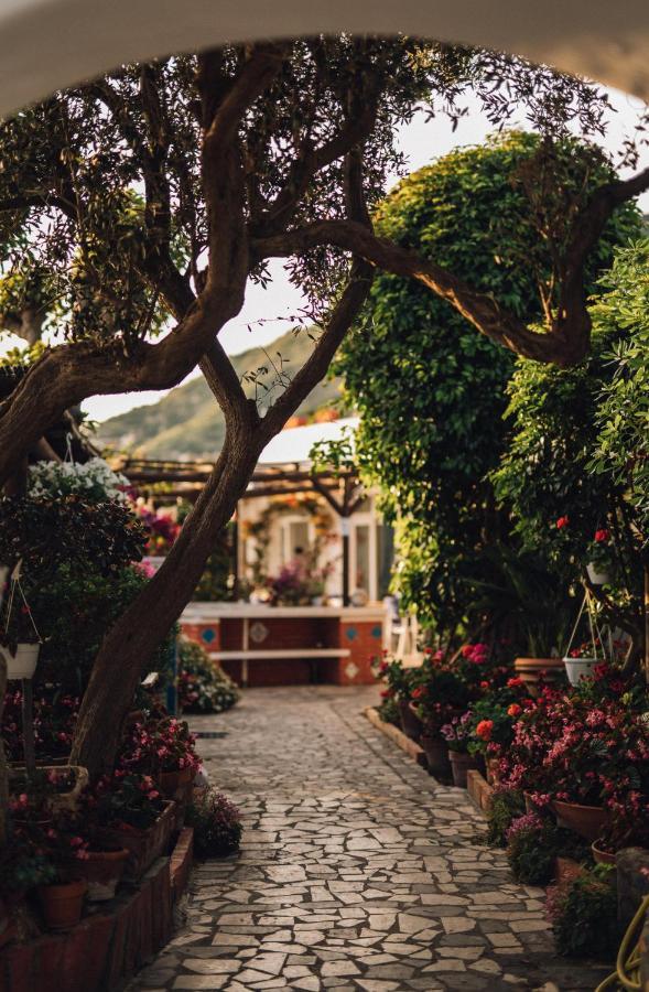 Hotel Villa Maria Sant'Angelo  Exteriör bild