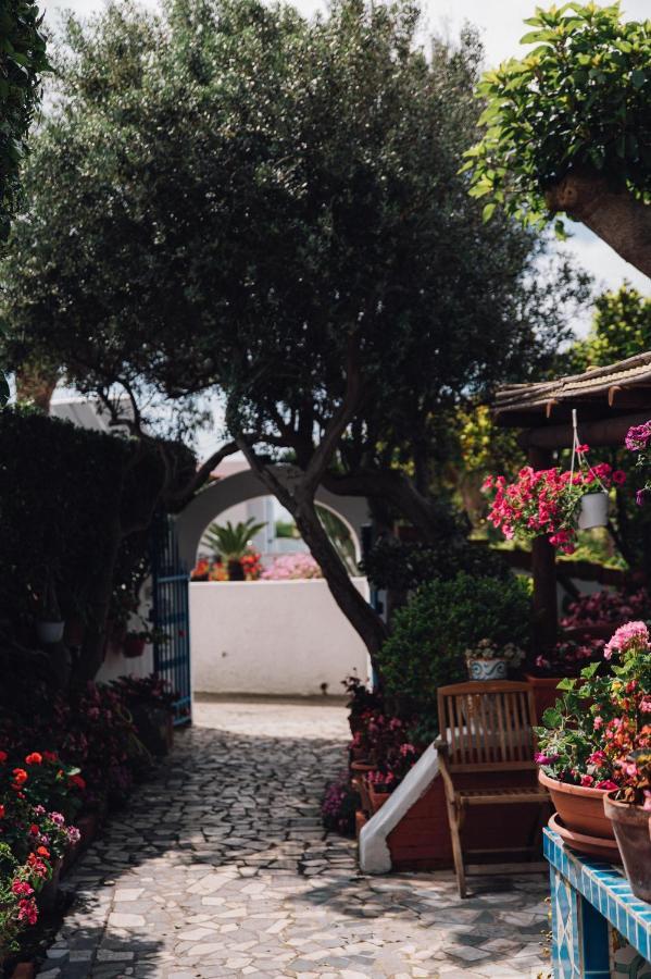 Hotel Villa Maria Sant'Angelo  Exteriör bild