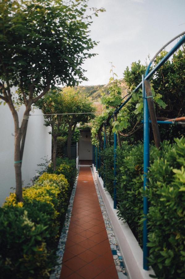 Hotel Villa Maria Sant'Angelo  Exteriör bild
