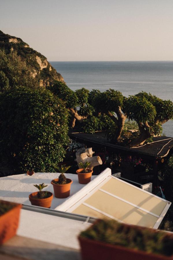 Hotel Villa Maria Sant'Angelo  Exteriör bild